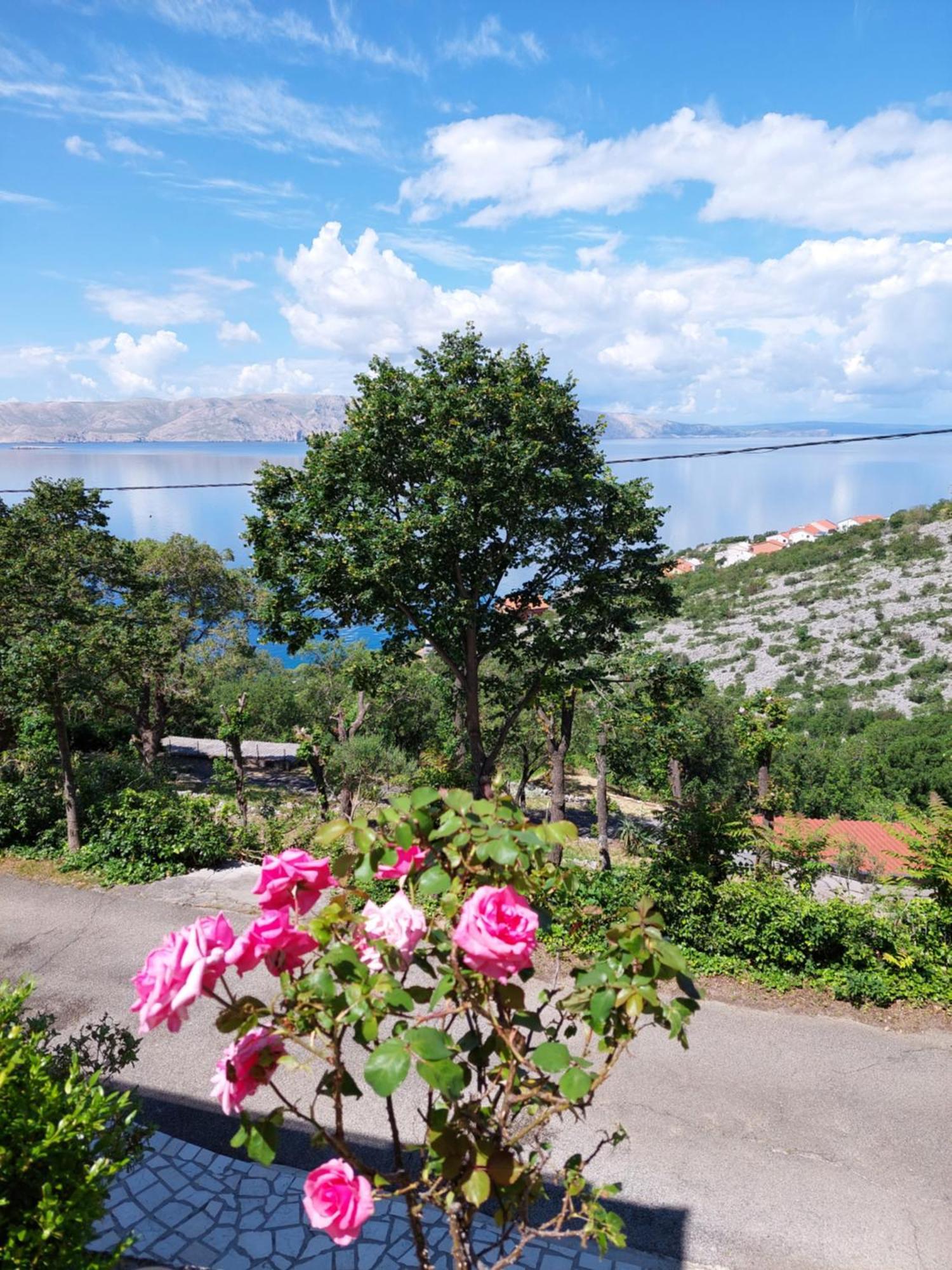 Dalibor Apartment Senj  Exterior photo